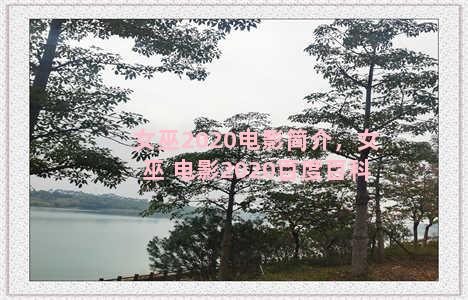 女巫2020电影简介，女巫 电影2020百度百科